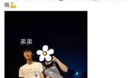 主播爆料吃瓜视频大全集,吃瓜视频大全集，揭秘娱乐圈幕后真相